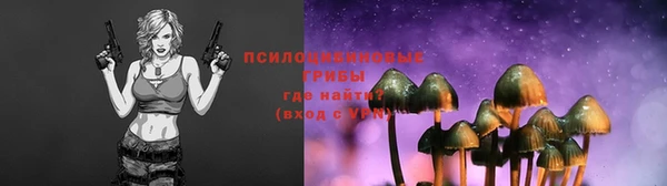 а пвп мука Балахна