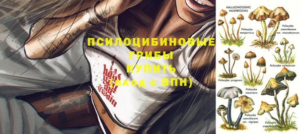 прущая мука Баксан