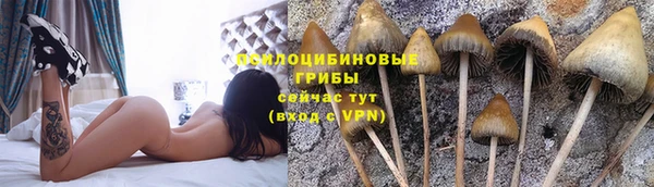 а пвп мука Балахна