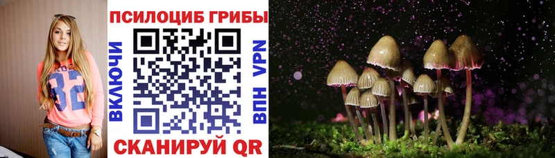 закладки  Вилючинск  Галлюциногенные грибы Magic Shrooms 